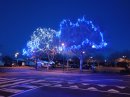 Gare routière de Noirmoutier